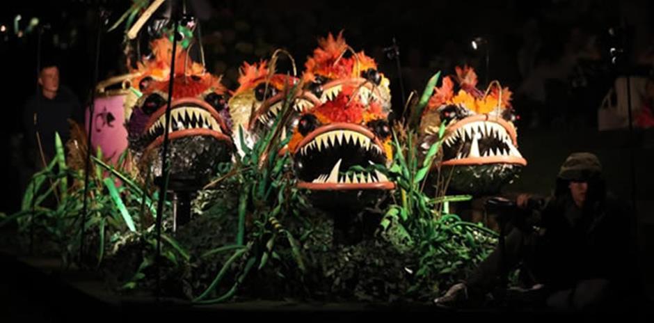 Gondelvaart Giethoorn